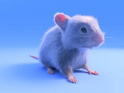 Mouse - grey brown white fur - realistic style - rigged Low-poly 3D model