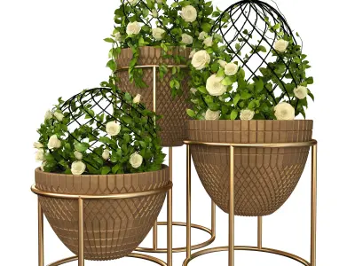 Indoor plants 002 3D model