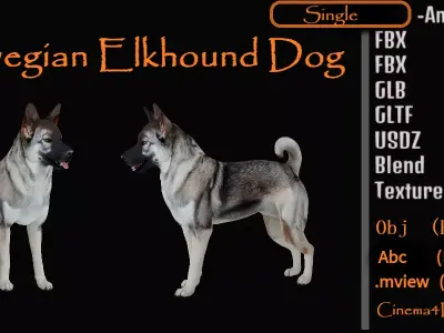 Norwegian Elkhound Dog Low-poly 3D model