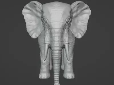 Elephant Model with Blender 3D model