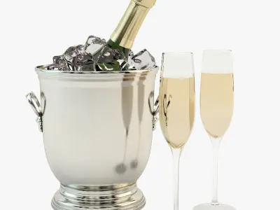 Cooling Champagne 3D model