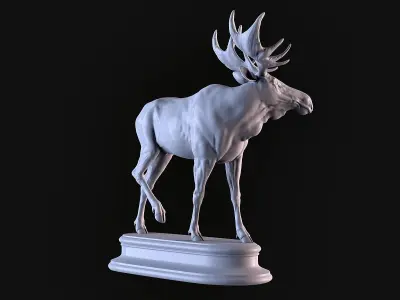 Moose 3D print model