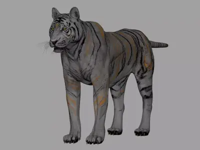 Tiger 3D model