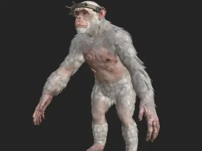 Laboratory Chimp with organ Low-poly 3D model