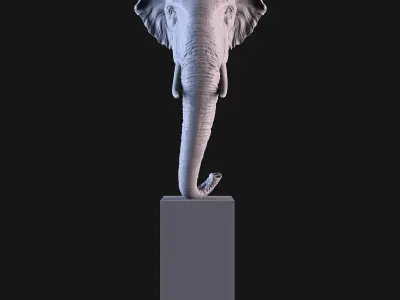 Head Elephant Asian 3D print model