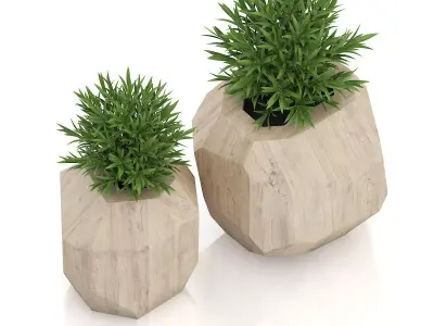Two Plants in Modern Wooden Pots 3D model