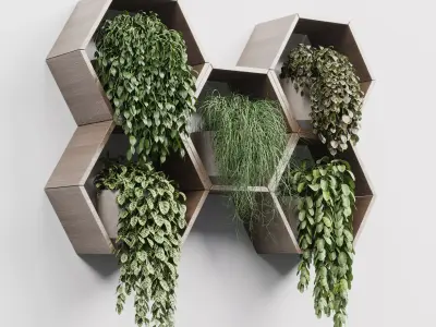 wall plant  set Indoor plant 268 concrete wall 3D model