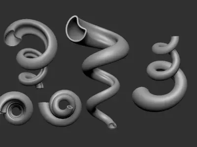 Viktor Schaubergers Original Whorl Pipe  3D print model