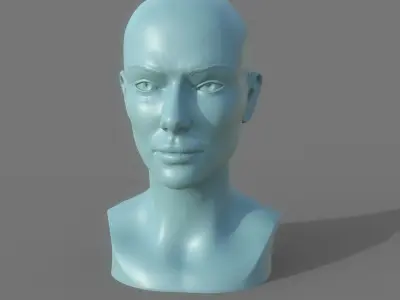 Woman Head Print Ready 3D model