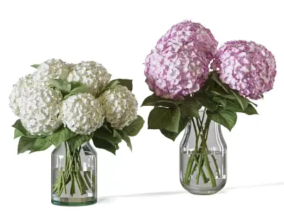 Flower Set 103 hydrangea 3D model