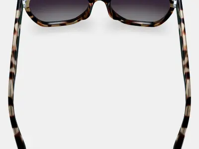 Rhea Sunglasses in Truffle Tortoise 3D model
