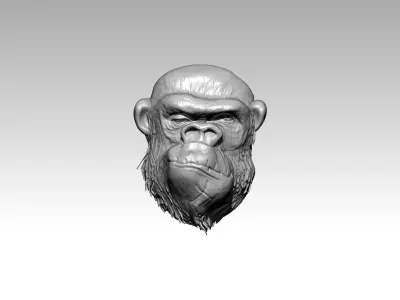 PROJECT FILES derche22 3D print model