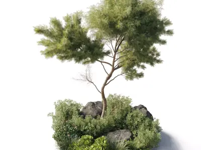 outdoor indoor 81 pot plant  tree  bush fern the garden 3D model