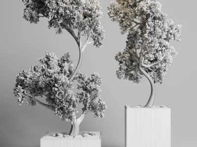 Collection Indoor outdoor plant 160 concrete vase pot-bonsai Low-poly 3D model