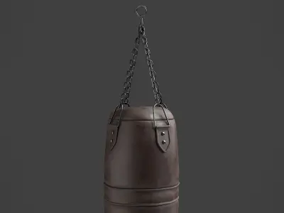 Punching Bag 5 3D model