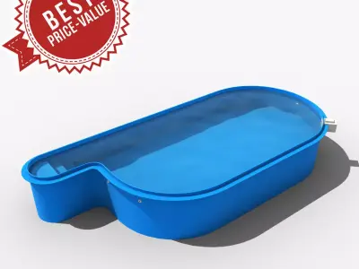 Laguna swimming pool 3D model