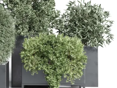 Outdoor plant Collection 113 stand plant box 3D model