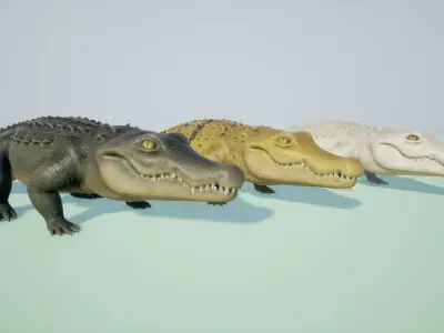 Crocodile stylized Low-poly 3D model