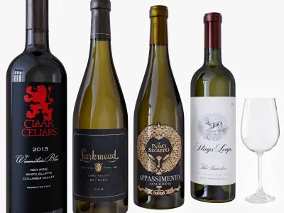 Wine bottle set 14 3D model