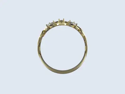 Rings  3D print model