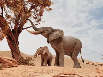 African Elephants Low-poly 3D model