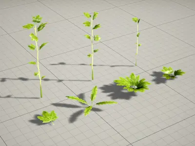 Realistic Leafy Plants and Weeds - High Quality Low-Poly Models Low-poly 3D model