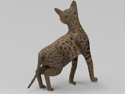 3D Cat Rigged model game ready  Low-poly 3D model