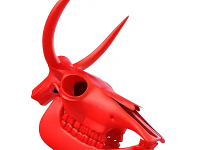 Printable Cow Skull with Horns 3D model