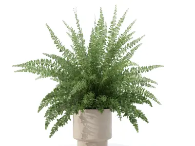 Fern in modern flower pot 3D model
