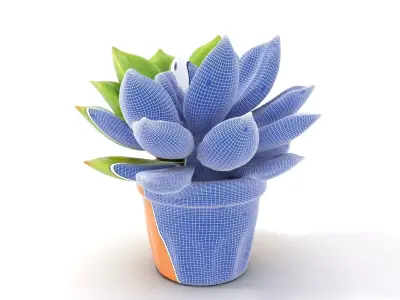 Vibrant Green Succulent model pack Low-poly 3D model
