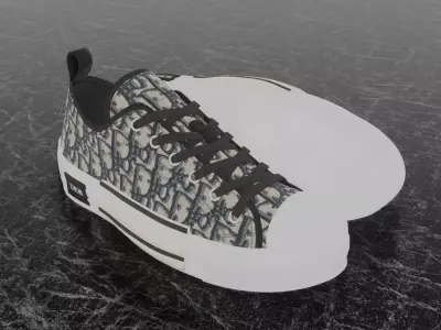 CHRISTIAN DIOR B23 LEAGUE OBLIQUE BEIGE 3D SHOES Low-poly 3D model