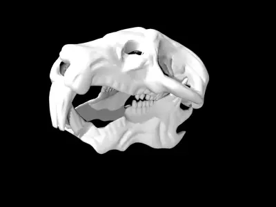 Rat Skull Low-poly 3D model purchase
