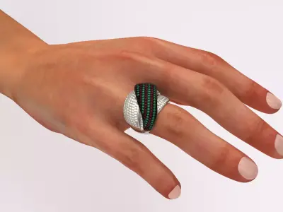 Ring 3993 3D print model