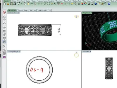 Ring car size 4 3D print model