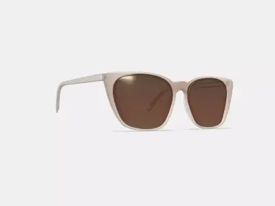 Janelle Sunglasses in Praline 3D model