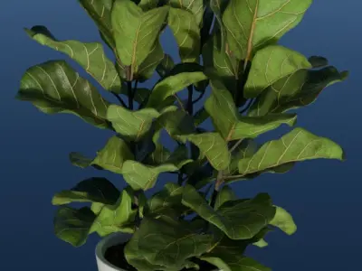 4K High Polly Pot Plants Pack 3D model