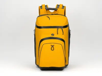 Sport Bag 3D model