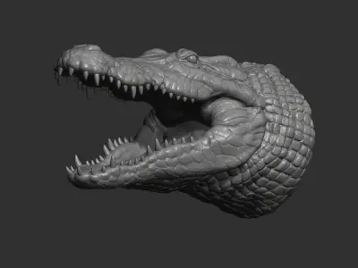 Crocodile head 3D print model