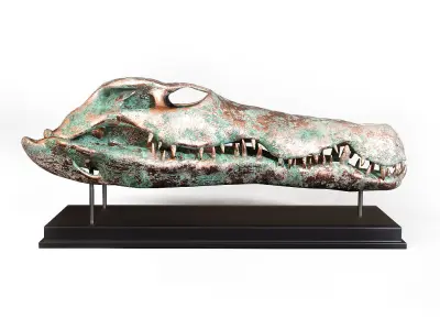 Crocodile skull Low-poly 3D model
