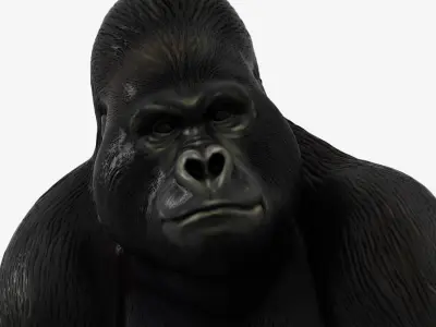Figurine Gorilla 3D model