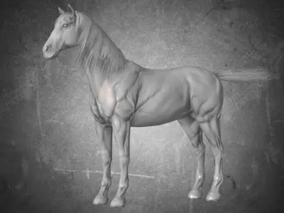 Horse - War No Gear 3D model