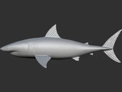 White Shark 3D print model