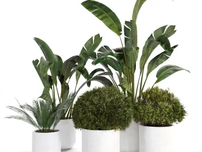 plant collection set 02