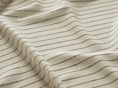 Cotton fabric 04 Texture
