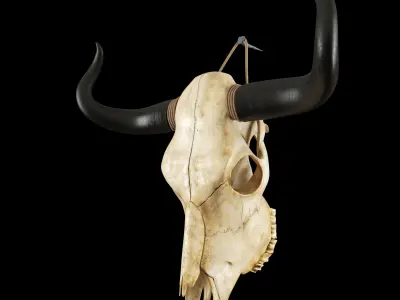 Cow skull 3D model