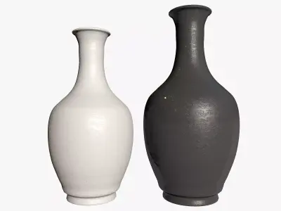 Two Black and White Vases 3D model