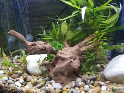 Aquarium driftwood decoration  3D print model