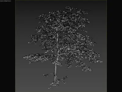Common Plants Set Low-poly 3D model