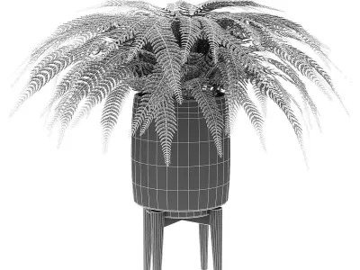 Plant in Pot Flowerpot Exotic Plant  3D model