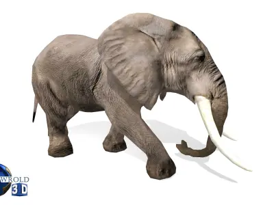 Elephant Rigged Animated Lowpoly 3d model Low-poly 3D model